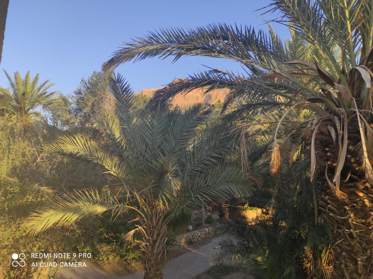 Bar Suite Ein Gedi Exteriör bild